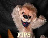 Fips13
