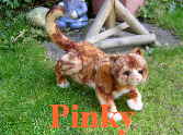 Pinky46
